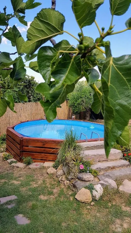 Guest house Affittacamere Da Zia Michelina Pontedera
