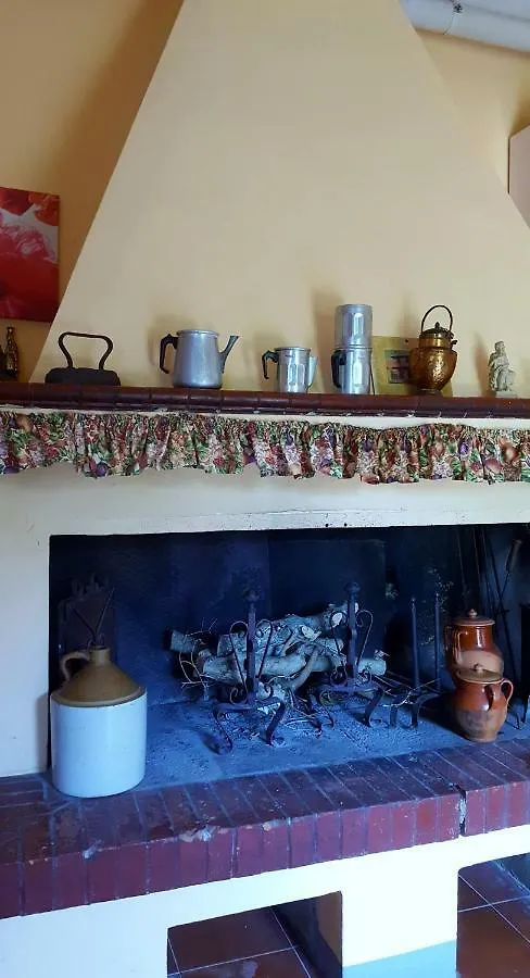 Guest house Affittacamere Da Zia Michelina Pontedera Italy